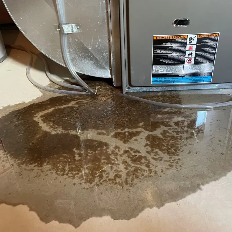 Pipe Burst and Leak Restoration in Lyons, KS