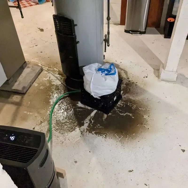 Sewage Backup Cleanup Service in Lyons, KS